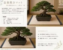 盆栽敷き61.5cm角 国産畳表使用 畳 展示用 - メルカリ