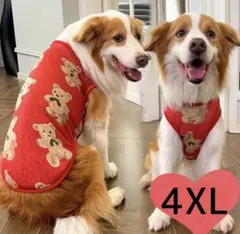 可愛い♡ 犬服 中型犬 ドッグウェア 春 くま柄 大きい 赤 新品 4XL