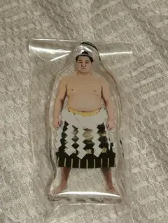 Item thumbnail for item 54bea83f-e9d4-4087-b8df-1d6cad6826be