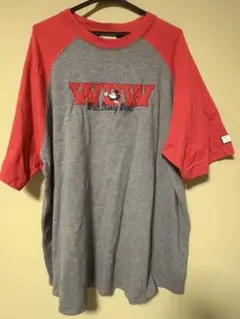 Item thumbnail for item 64cea285-ef91-47f3-aa3d-661640dbcde0