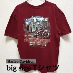 HARLEY-DAVIDSON110周年記念シャツ.ミルウォーキーで購入Tシャツ、半袖Tシャツ ハーレーダビッドソン 創業110周年記念 ミルウォーキー Tシャツ - メルカリ