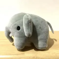 ブルーナアニマル　むにゅぐるみ　ゾウ　ディック・ブルーナ　ぬいぐるみ　ミッフィー