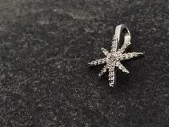 星形　イヤーカフ