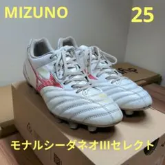 モナルシーダネオ 25