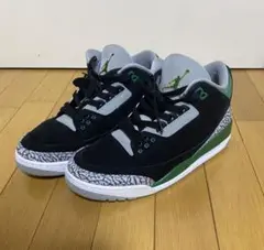 ※最終値下げ※Nike Air Jordan 3 "Pine Green"