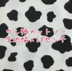 Item thumbnail for item 49f59840-d7a2-40c7-a216-35b9ea0dc504