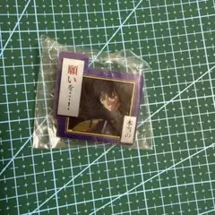 反逆のルルーシュ　アクリルクリップ