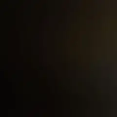 用紙