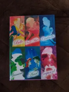 ディズニープリンセス　ジュエリーケース