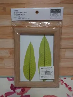 CAINZ「かるくて割れにくい木目調写真立て」 ハガキ 2L判【26】
