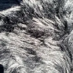 Item thumbnail for item 91badf69-b837-43e3-aa91-a358949f3efa