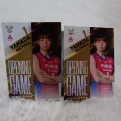 Item thumbnail for item 8a0095c6-f5d6-4dc8-bcef-3071055b1c22