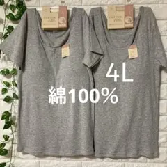 綿100％ カップ付き 半袖(フレンチ袖) 2枚組 4L 大きいサイズ グレー