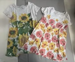 グラニフ☆はらぺこあおむし☆エリック・カール☆半袖ワンピース☆2枚セット110