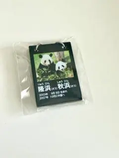 アドベンチャーワールド 隆浜 秋浜 パンダ 上野 ガチャ 電光看板風 チャームのサムネイル