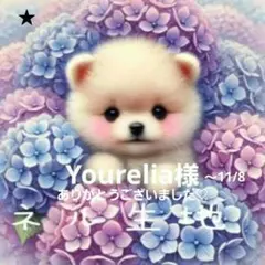 Yourelia様確認用2/2