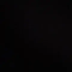 専用