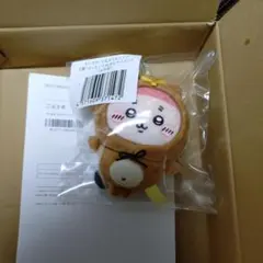 ちいかわ　たぬきだもんくじ　C賞　古本屋