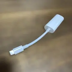 Apple USB-C- Thunderbolt 2アダプタ