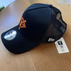 Item thumbnail for item 456012ca-2dd7-41be-ac09-f70909616497