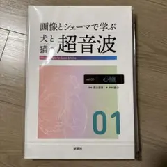 犬と猫の超音波 下腹部 vol.03 裁断済み 画像とシェーマで学ぶ犬と猫の超音波 Vol.3 腹部 下巻 | 臨床獣医学