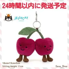 新品　ジェリーキャット　鍵　ロック　南京錠　ぬいぐるみ　ハート　バレンタイン 新品 ジェリーキャット 鍵 ロック 南京錠 ぬいぐるみ ハート