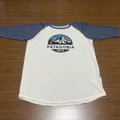 PATAGONIA Tシャツ 新品 sサイズ