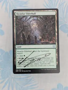 Johannes Voss Skemfar Elderhall サイン入り AP