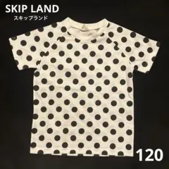 SKIP LAND【スキップランド】水玉模様　キッズ半袖Tシャツ　120のサムネイル