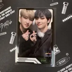 straykids ODDINARY チャンビン アイエン トレカ