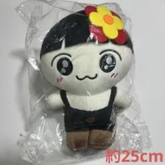 2026年最新】ANITEEZ ぬいぐるみ ホンジュンの人気アイテム - メルカリ