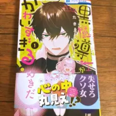 ☆蒼のカナリア様 リクエスト 2点 まとめ商品