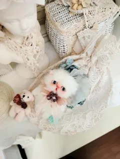 薔薇レースの巾着❤バッグ❤エキゾチック子猫ちゃん❤