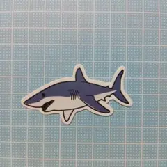 F サメ　　シャーク　Shark　防水ステッカー　ステッカー　シール