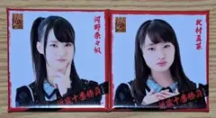 Item thumbnail for item 24e965d0-b2b2-4cd8-9b63-c9700e7cf8e4