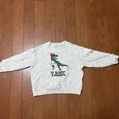 klädskaap T.Rex トレーナー 100cm