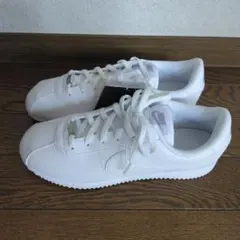 Item thumbnail for item f9530555-5179-4506-bb71-2ec950aa02db