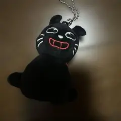 キヨ猫　おすわり