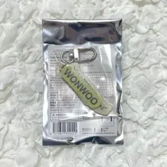 SEVENTEEN セブチ RIGHT HERE キーホルダー ウォヌ