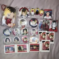 ハイキュー 孤爪研磨 ぱしゃこれ チューガク 缶バッジ ぬいもっち カード