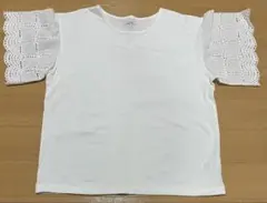 Item thumbnail for item c8c19e12-1826-41dd-9502-a64703bbb4d8