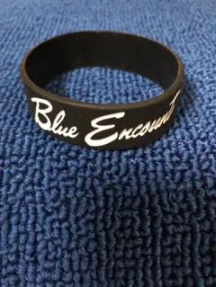 2026年最新】国内アーティスト：BLUE ENCOUNT ミュージシャン ラバー