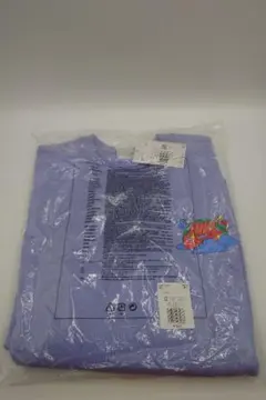 Item thumbnail for item 2b223765-f7a0-4e9f-b58c-27eed373e52b