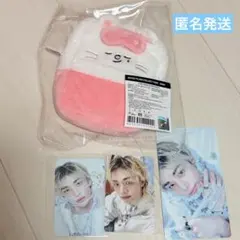 straykids ヒョンジン ペンミ ぬいぐるみ コレクトケース トレカ付き