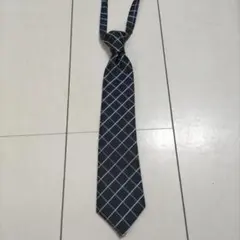 Item thumbnail for item 8d0dfd05-fe1d-4846-b151-3446b2da99b5