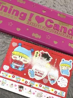 送料込！！ちゃお 2026年 6月号 付録