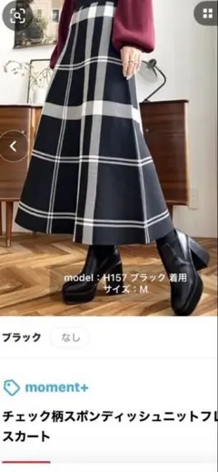 チェック柄ポンディッシュフレアスカート Mのサムネイル