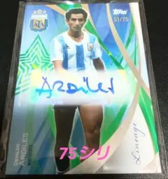 100%正規品トッテナム　　 ファンデフェン写真付きサイン 2025年最新】ファンデフェンの人気アイテム - メルカリ