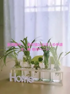 断捨離中… 最安値はおまとめ申請を…様 リクエスト 3点 まとめ商品