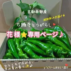 花様⭐️②専用ページ♪のサムネイル